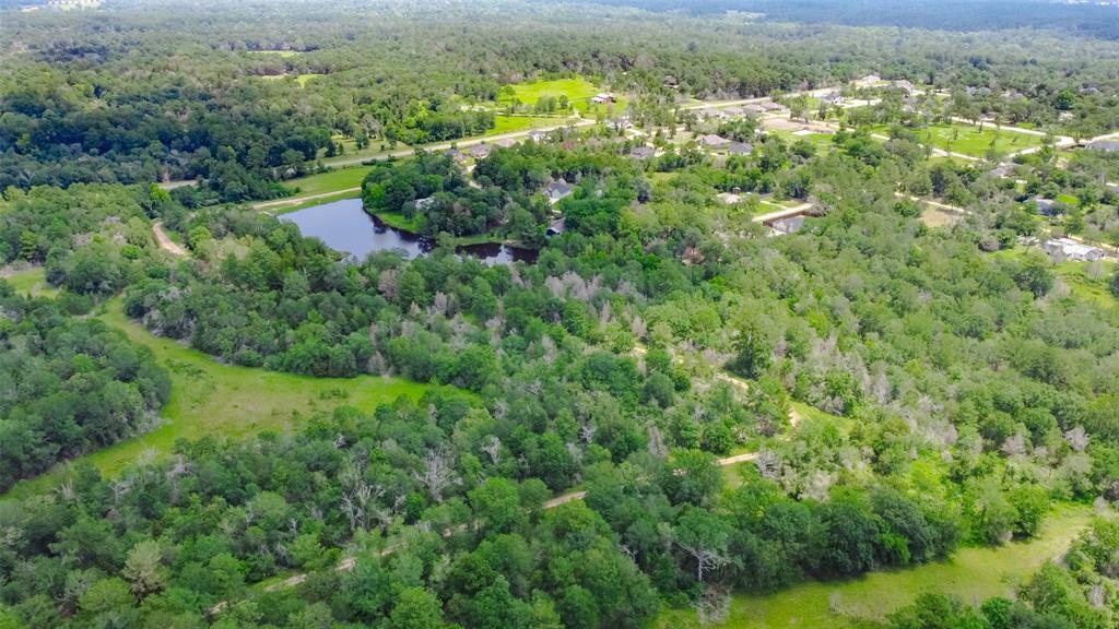 26326 Moose Drive, Hempstead, Texas image 9