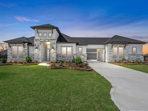 3 Hawthorn Cove Court Fulshear TX 77441