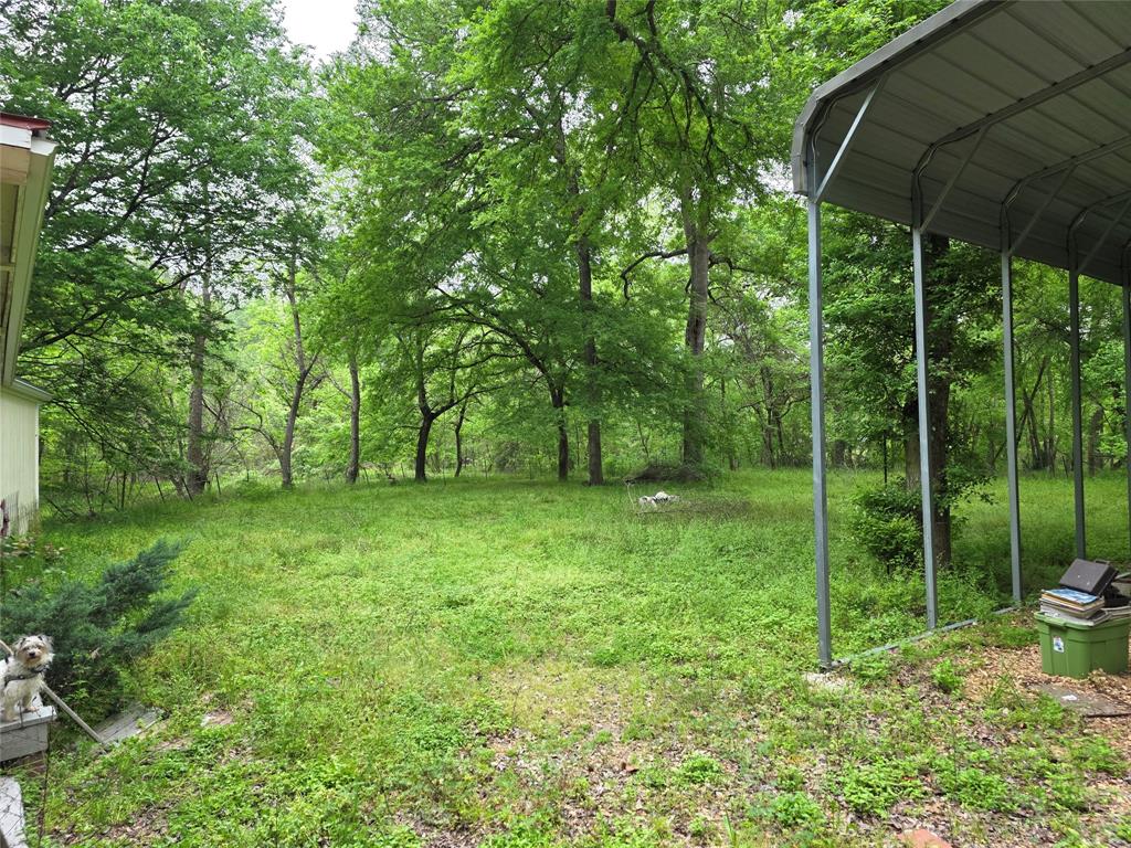 15 Caney Court, Huntsville, Texas image 7