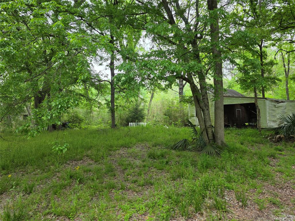 15 Caney Court, Huntsville, Texas image 4