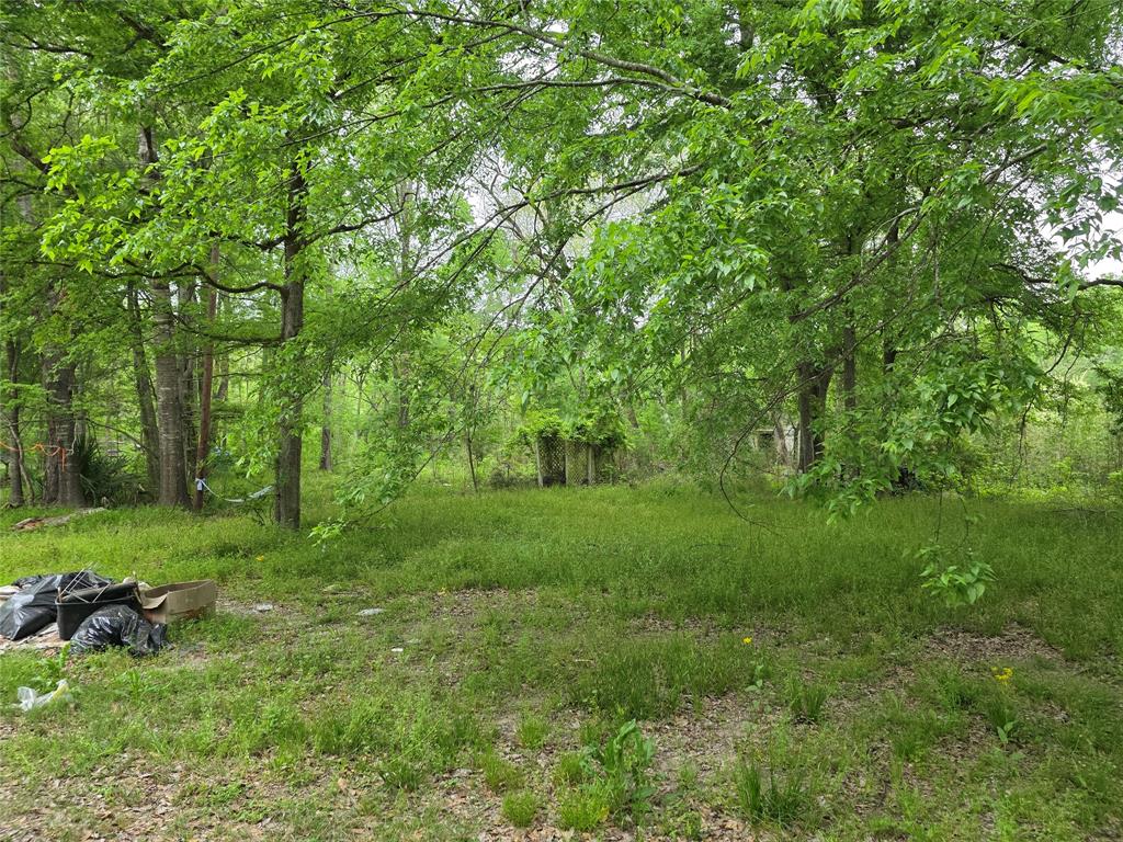 15 Caney Court, Huntsville, Texas image 8
