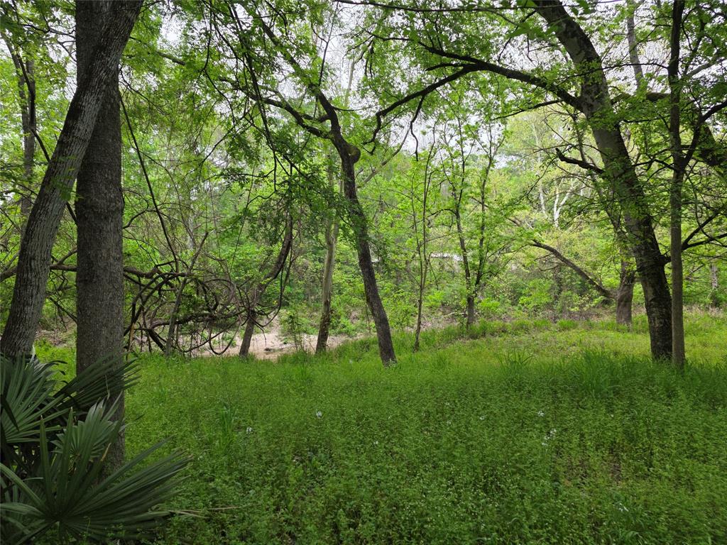 15 Caney Court, Huntsville, Texas image 9