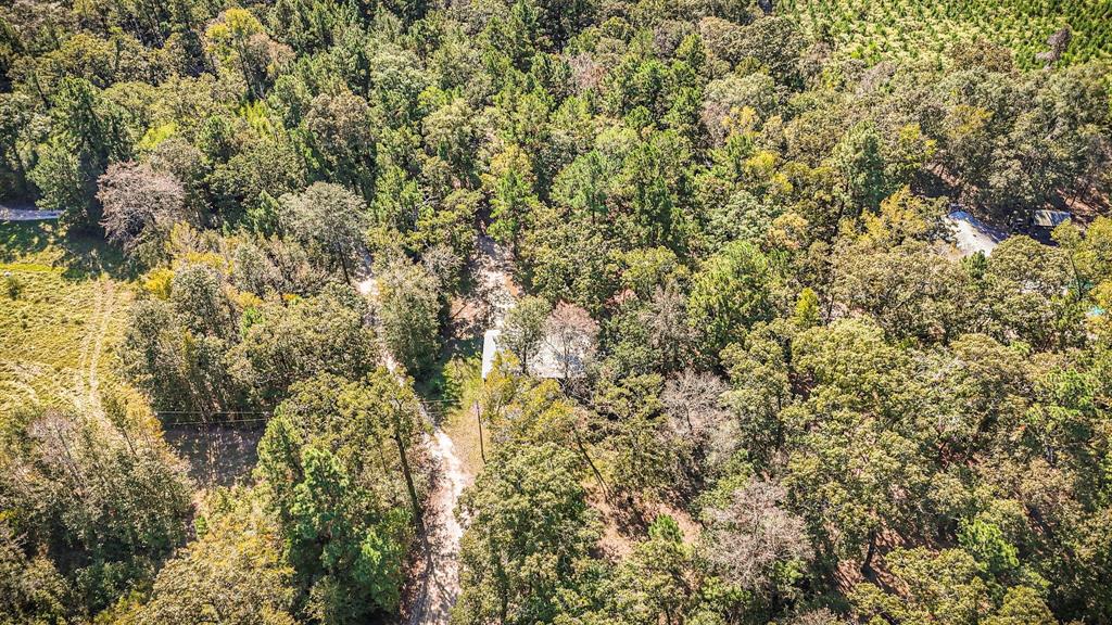2540 Howell Road, Corrigan, Texas image 31