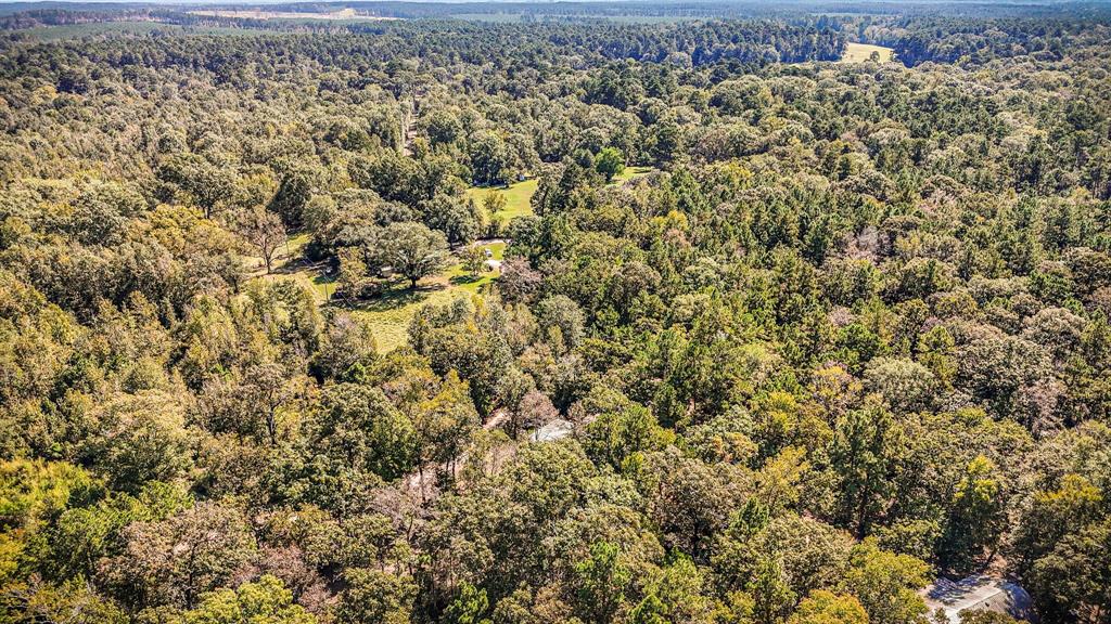 2540 Howell Road, Corrigan, Texas image 30