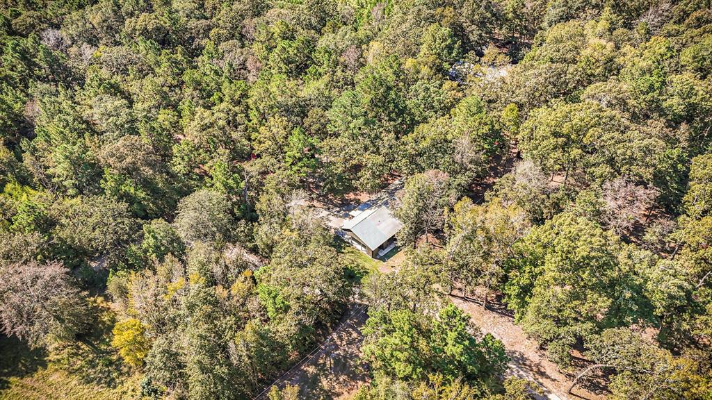 2540 Howell Road, Corrigan, Texas image 33