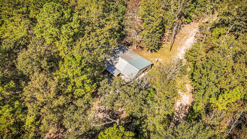 2540 Howell Road, Corrigan, Texas image 32