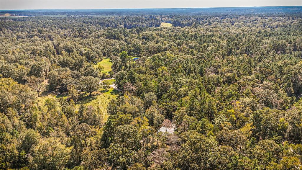 2540 Howell Road, Corrigan, Texas image 29