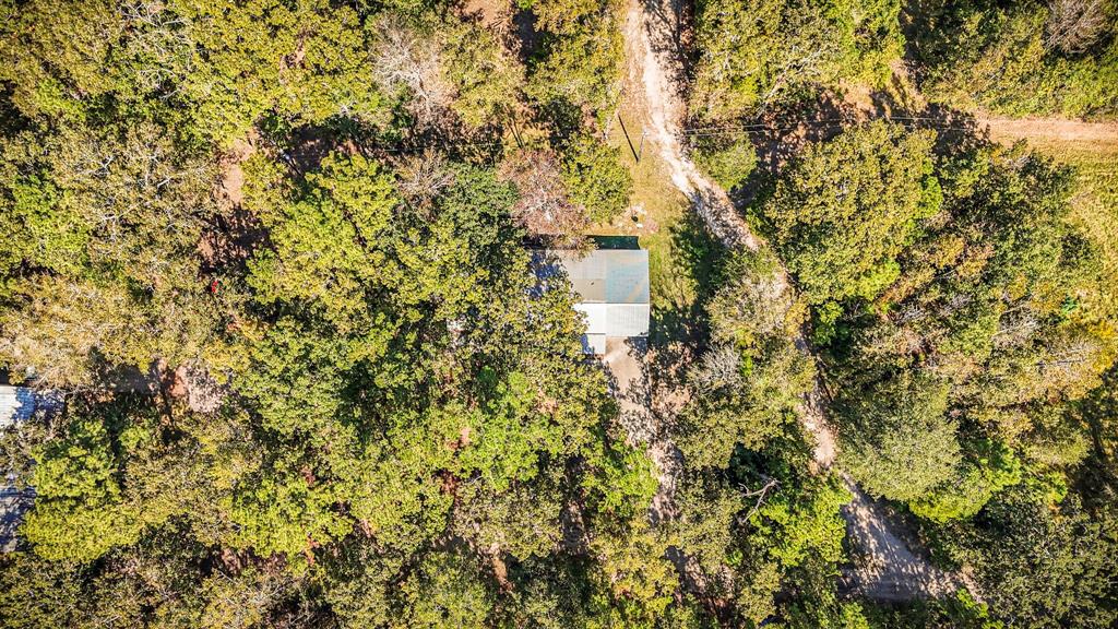 2540 Howell Road, Corrigan, Texas image 25