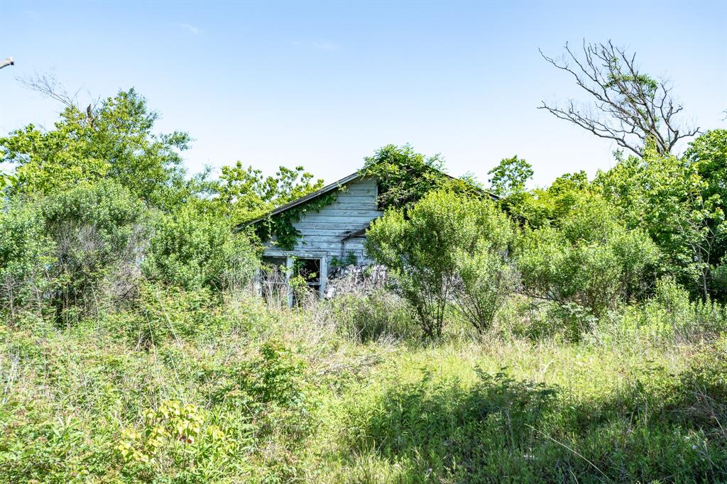 26587 Brice Lane, Splendora, Texas image 5