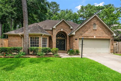 22 Poplar Hill Place The Woodlands TX 77381