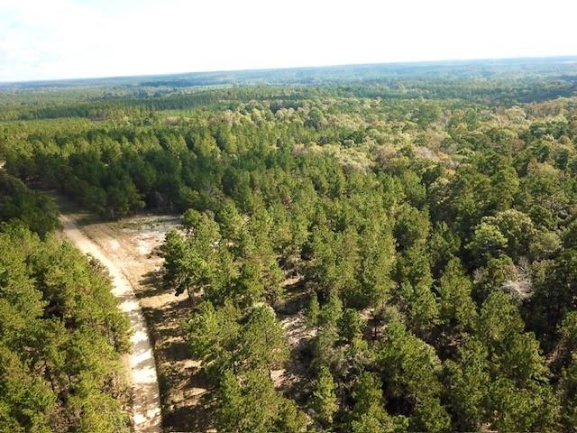 TBD 38.3+/- AC Cr 2310, Woodville, Texas image 4