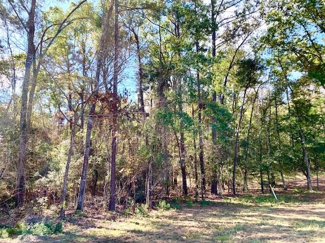 TBD 38.3+/- AC Cr 2310, Woodville, Texas image 2