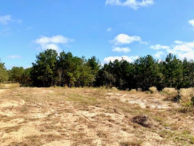 TBD 38.3+/- AC Cr 2310, Woodville, Texas image 37