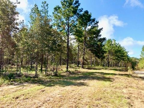 Vacant Land For Sale - TBD 38.3+/- AC Cr 2310<br/> Woodville, TX 75979