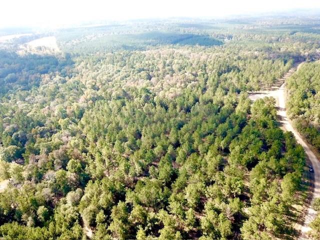 TBD 38.3+/- AC Cr 2310, Woodville, Texas image 19