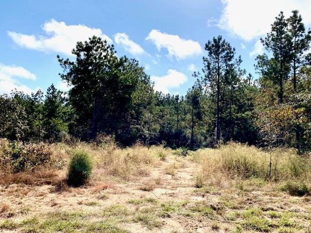 TBD 38.3+/- AC Cr 2310, Woodville, Texas image 38