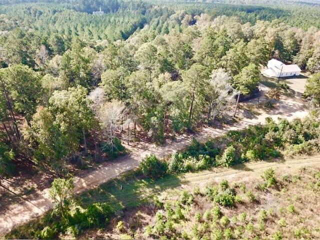 TBD 38.3+/- AC Cr 2310, Woodville, Texas image 8