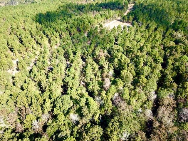 TBD 38.3+/- AC Cr 2310, Woodville, Texas image 9