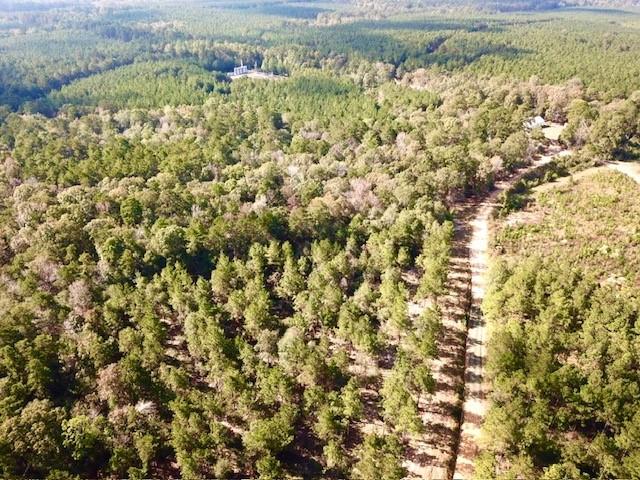 TBD 38.3+/- AC Cr 2310, Woodville, Texas image 12