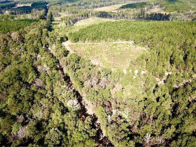 TBD 38.3+/- AC Cr 2310, Woodville, Texas image 10