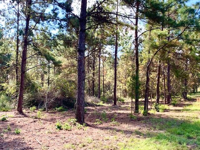 TBD 38.3+/- AC Cr 2310, Woodville, Texas image 36