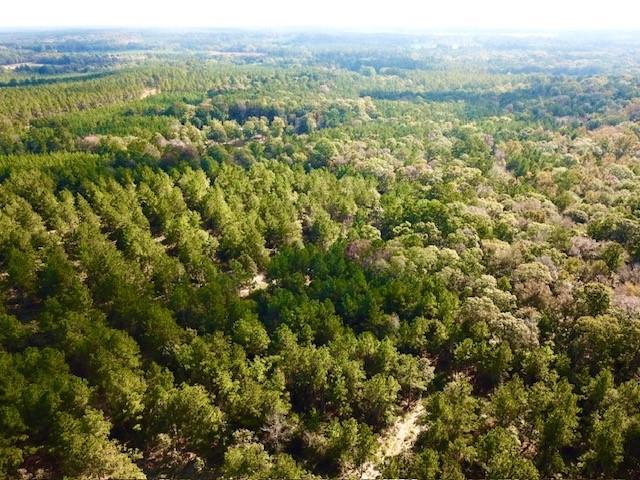 TBD 38.3+/- AC Cr 2310, Woodville, Texas image 14