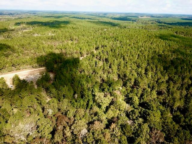 TBD 38.3+/- AC Cr 2310, Woodville, Texas image 16