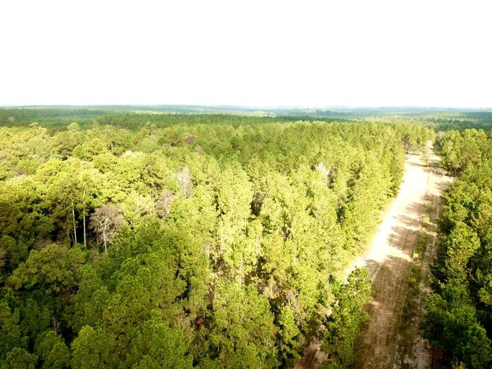 TBD 38.3+/- AC Cr 2310, Woodville, Texas image 32