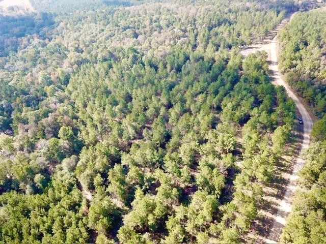 TBD 38.3+/- AC Cr 2310, Woodville, Texas image 20