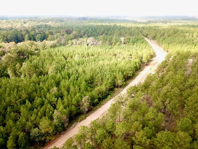 TBD 38.3+/- AC Cr 2310, Woodville, Texas image 22