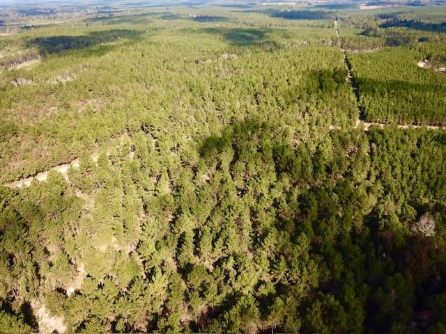 TBD 38.3+/- AC Cr 2310, Woodville, Texas image 18