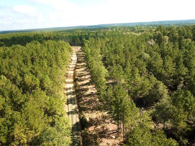 TBD 38.3+/- AC Cr 2310, Woodville, Texas image 5