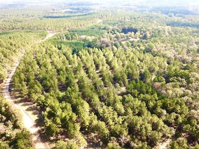 TBD 38.3+/- AC Cr 2310, Woodville, Texas image 13