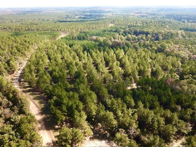 TBD 38.3+/- AC Cr 2310, Woodville, Texas image 15