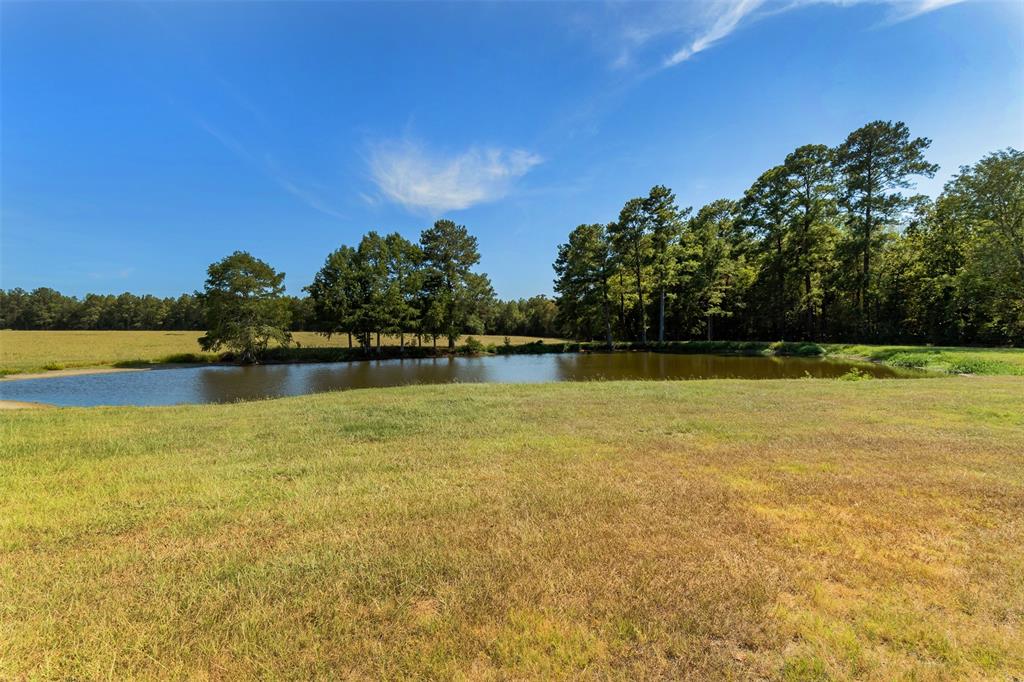 508 Hubert Cryer Road, Zavalla, Texas image 9