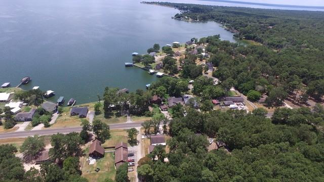 Linkwood Drive, Livingston, Texas image 3