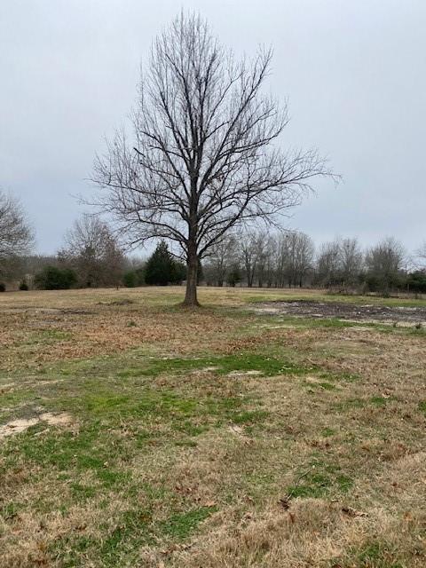 6988 Refugio Circle, Bedias, Texas image 6