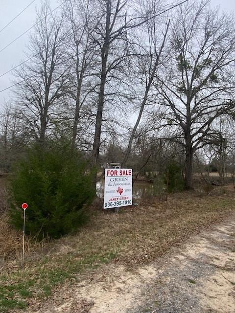 6988 Refugio Circle, Bedias, Texas image 14