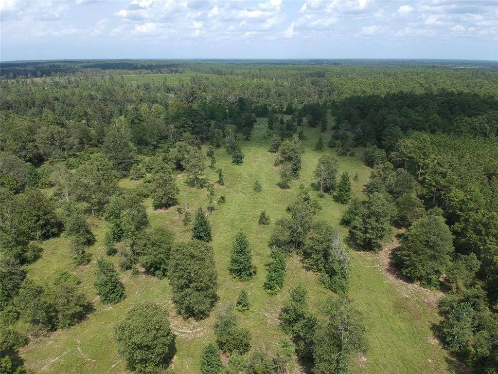 TBD Private Road 8385, Hillister, Texas image 1