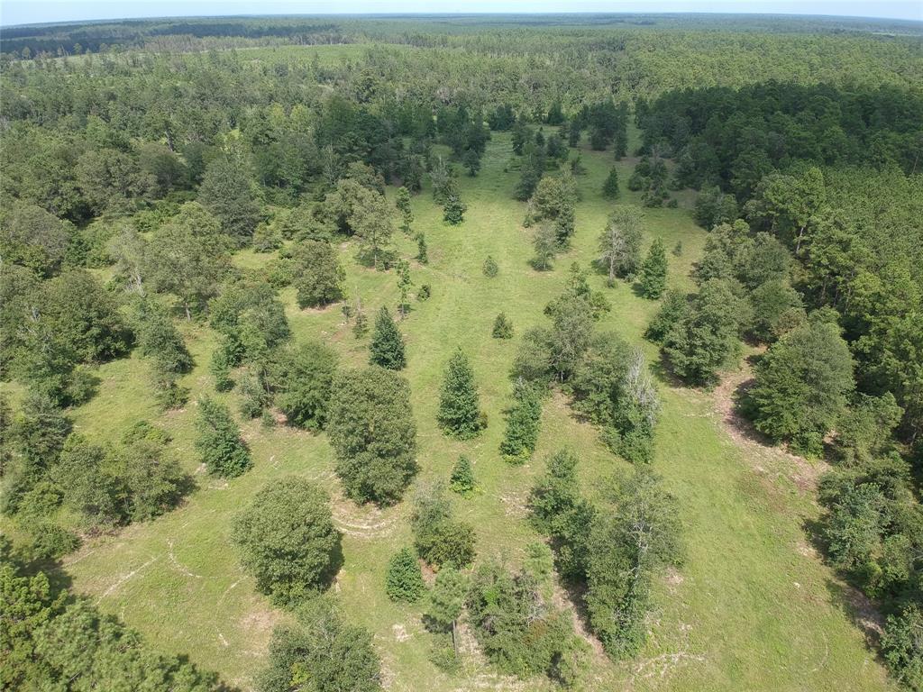 TBD Private Road 8385, Hillister, Texas image 3