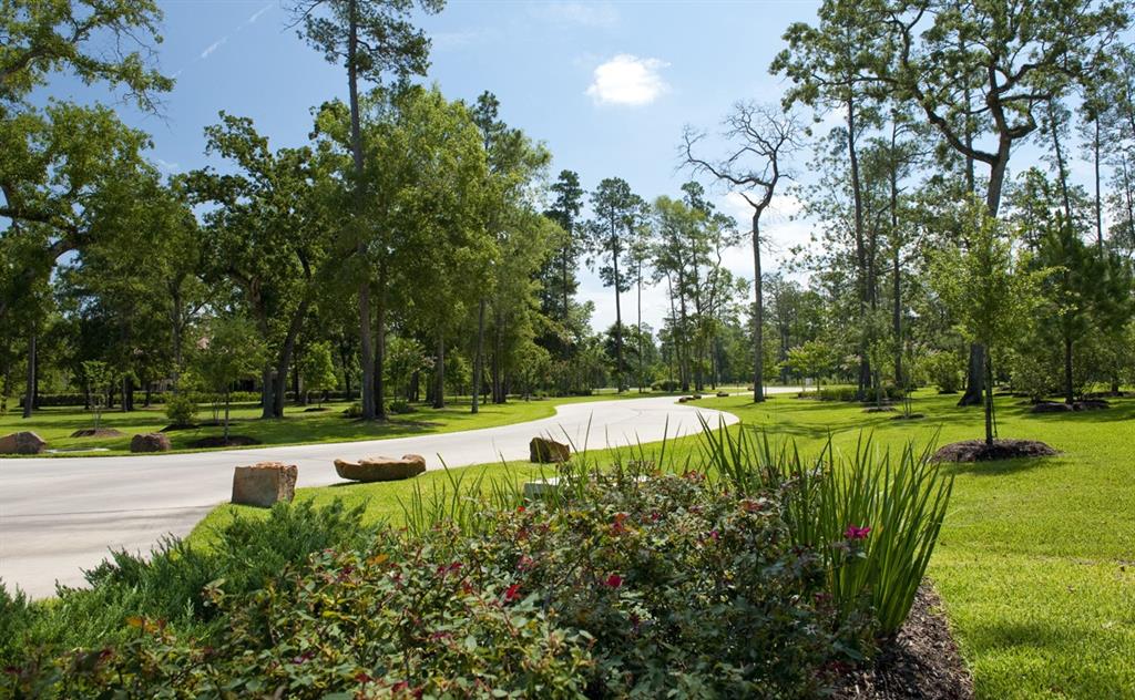 27588 S Lazy Meadow Way Way, Spring, Texas image 7