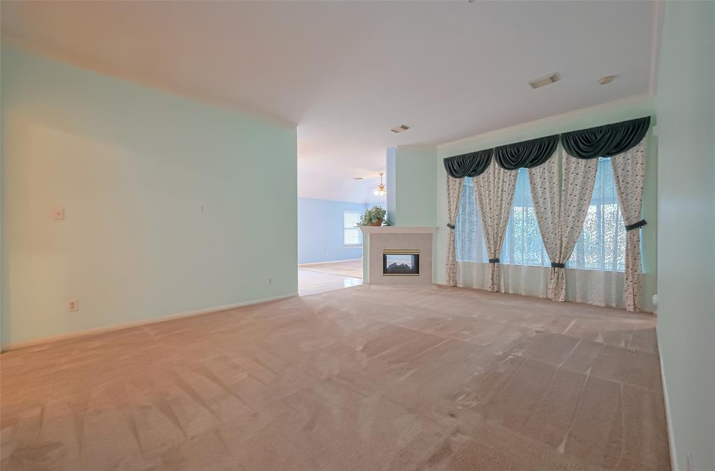 4611 Rainbow Valley Court, Missouri City, Texas image 11