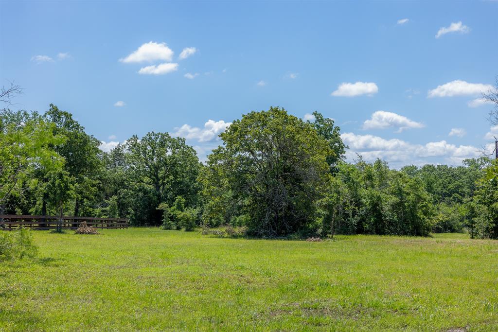 6676 Atakapan Trail, Bedias, Texas image 1