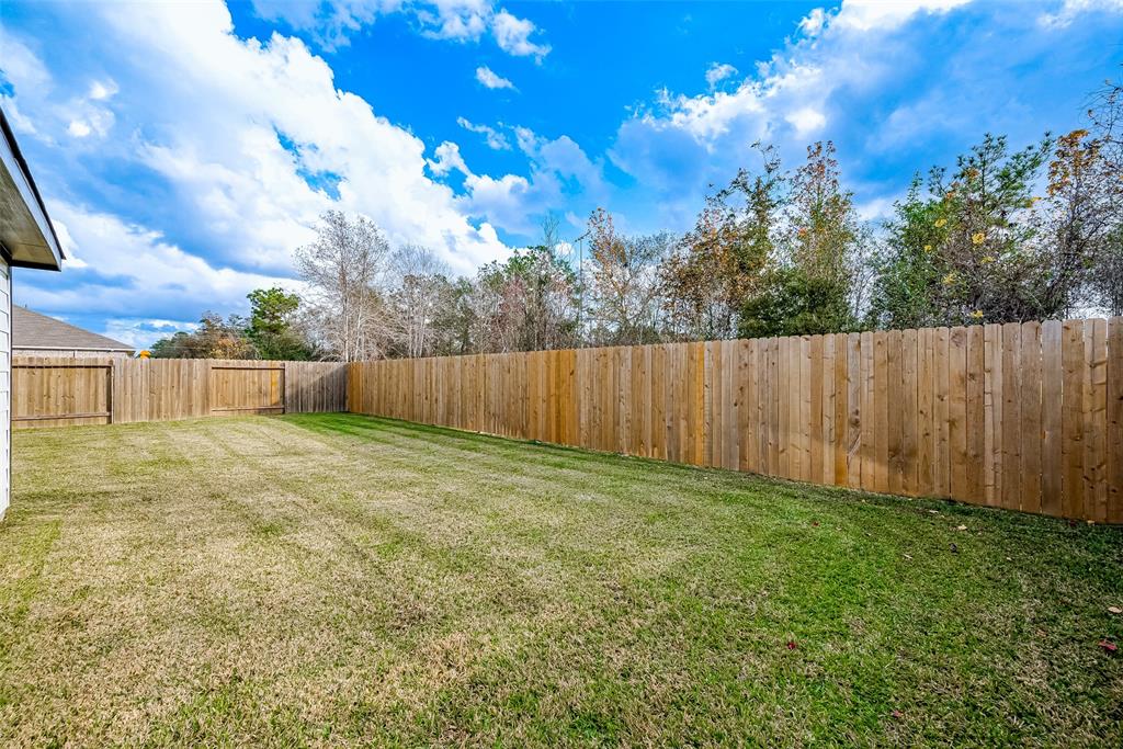 15908 Cy Young Court, Splendora, Texas image 38