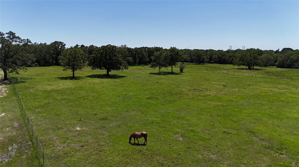 7150 Misty Lane - 7 Acres Ln, North Zulch, Texas image 29