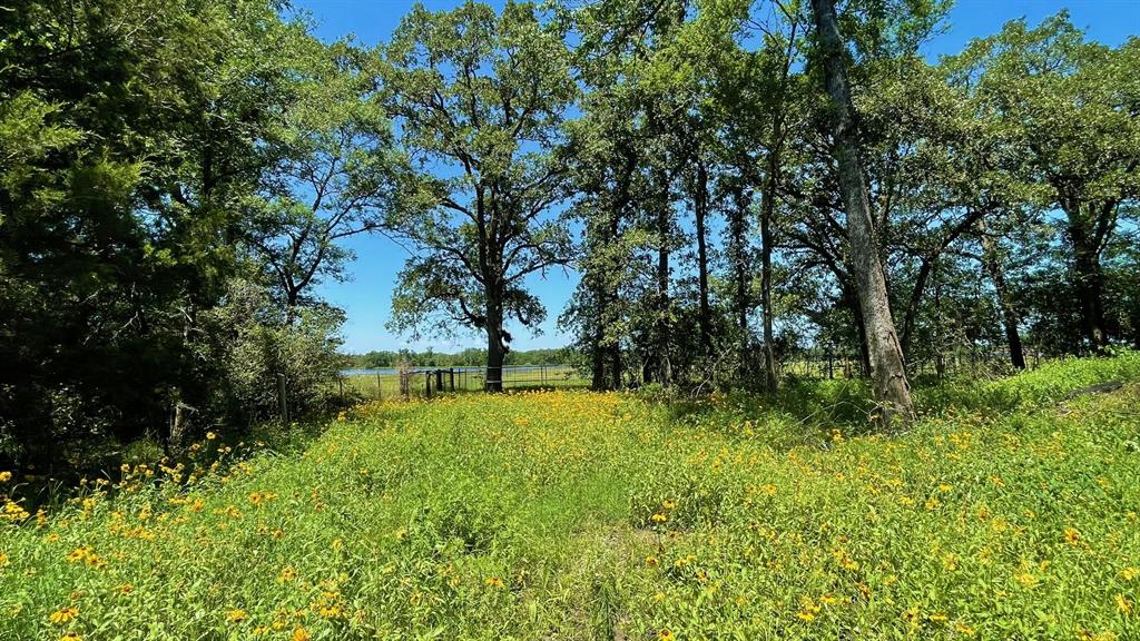 7150 Misty Lane - 7 Acres Ln, North Zulch, Texas image 24