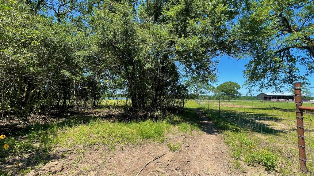 7150 Misty Lane - 7 Acres Ln, North Zulch, Texas image 23