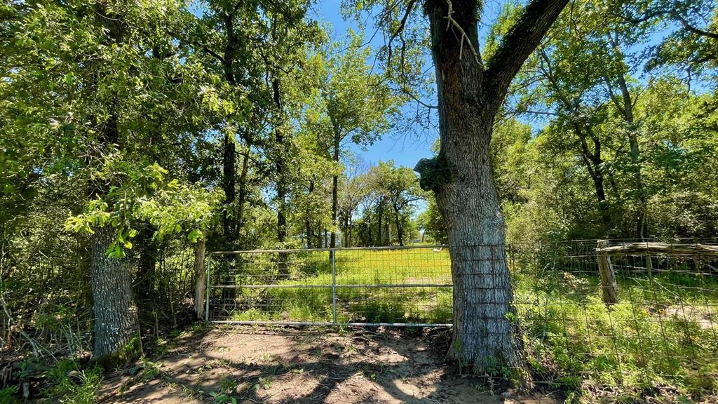 7150 Misty Lane - 7 Acres Ln, North Zulch, Texas image 25