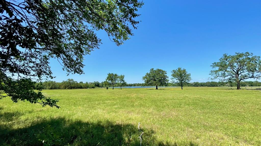 7150 Misty Lane - 7 Acres Ln, North Zulch, Texas image 26