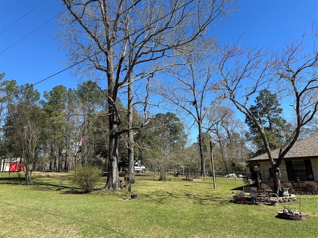 131 Holly Throw Circle, Livingston, Texas image 14